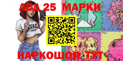 spice Кинель
