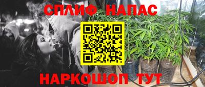 spice Кинель