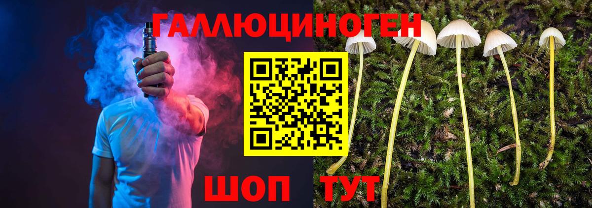 Галлюциногенные грибы Cubensis Канаш