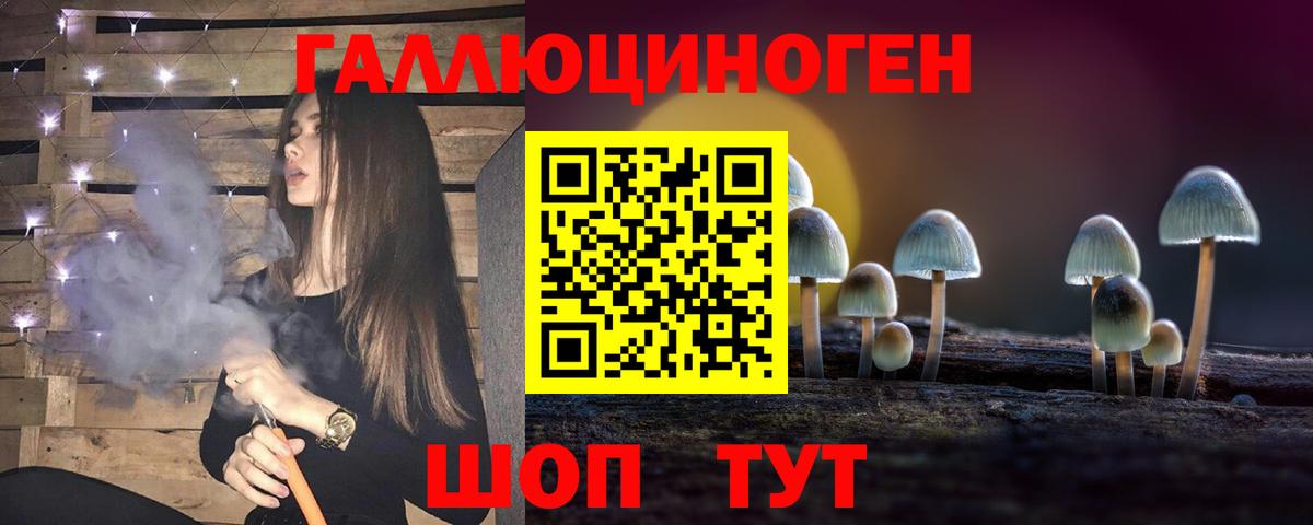 Псилоцибиновые грибы GOLDEN TEACHER  Вход с VPN  Канаш 